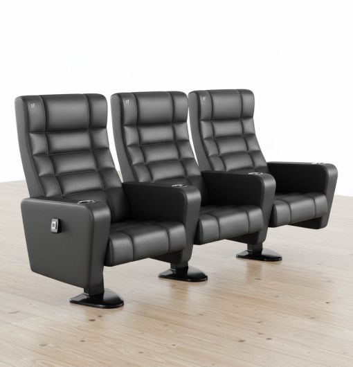  sinema-koltugu