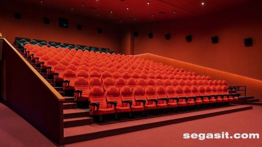 sinema-koltuğu